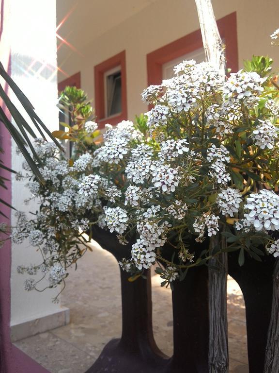Apartments Zara Phòng bức ảnh
